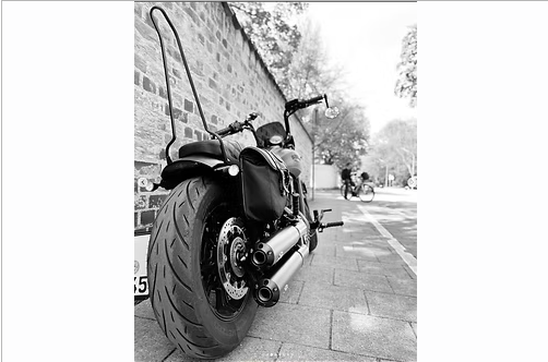 Indian Touring and Chief "Full Nude" Sissy Bar