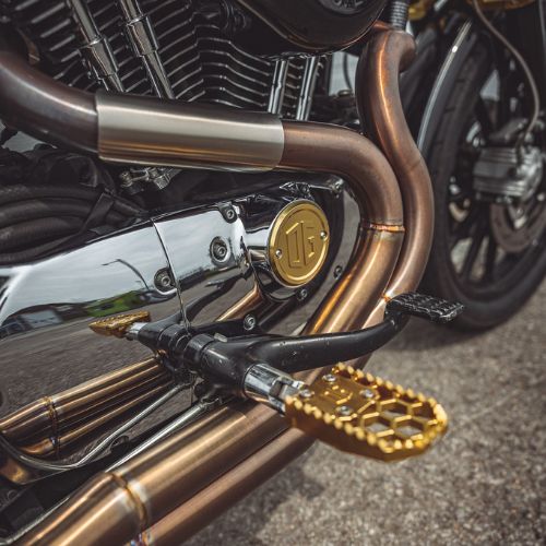 OG Evo's and Sportster Points Cover